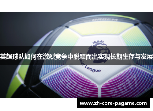英超球队如何在激烈竞争中脱颖而出实现长期生存与发展 英超球队如何在激烈竞争中脱颖而出实现长期生存与发展